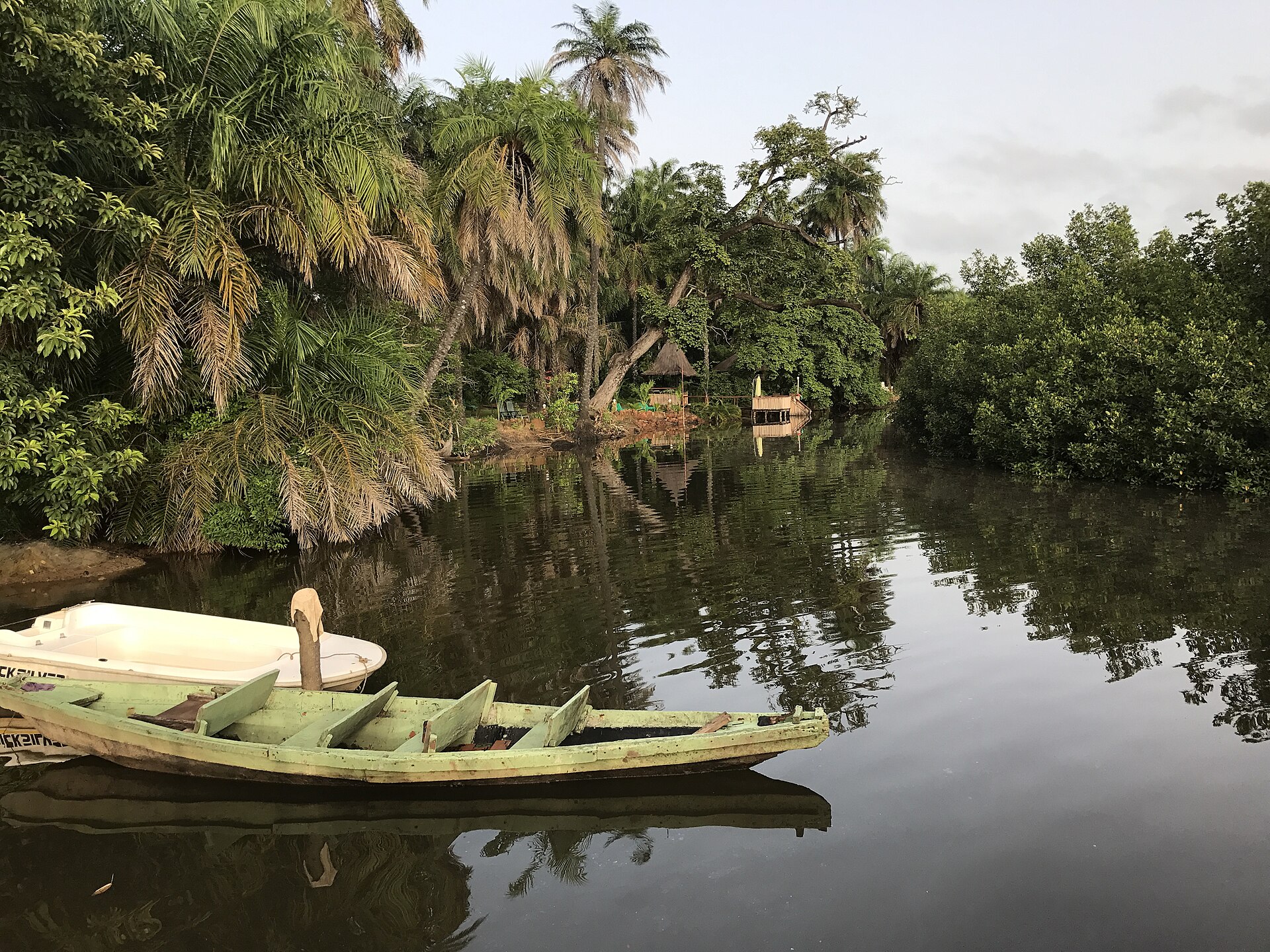 mangrove canoe waterway
