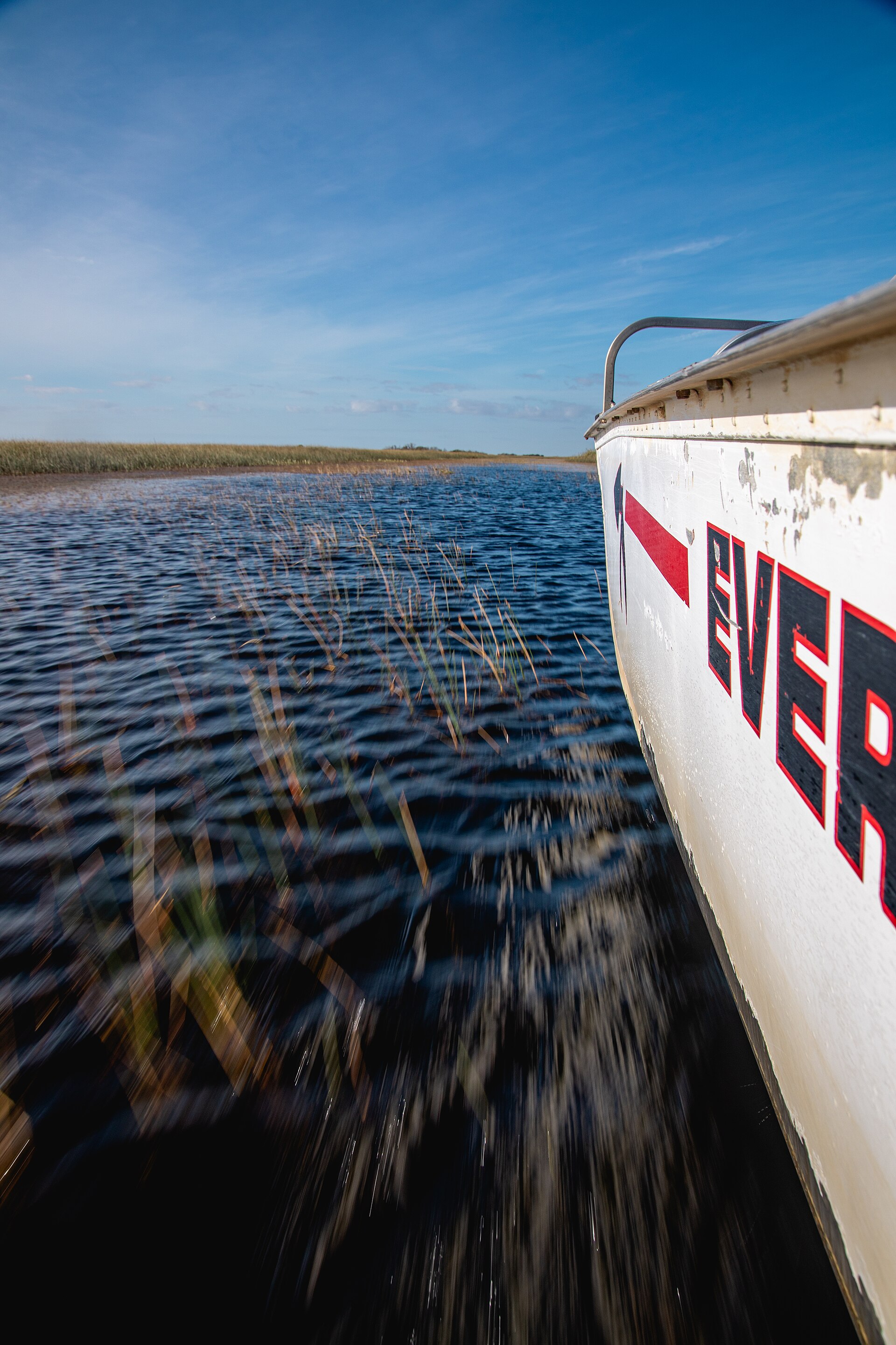 Everglades sawgrass airboat