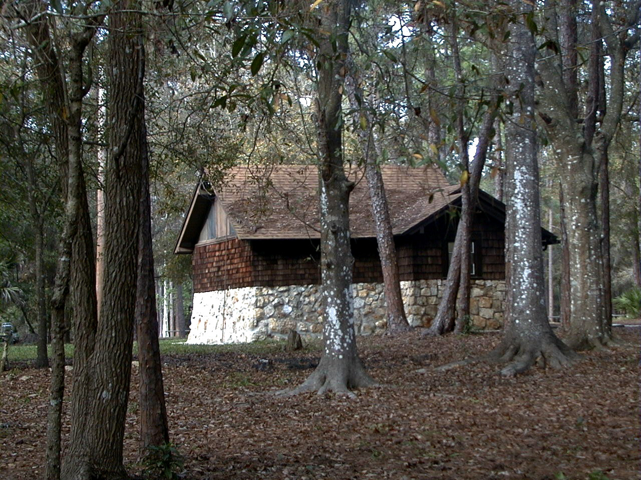 Florida state park hammock trail