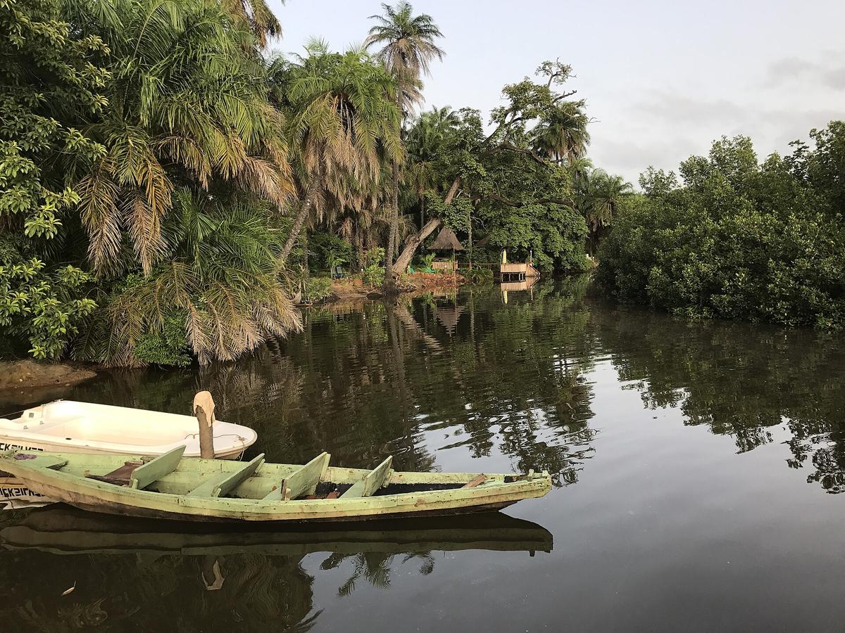 mangrove canoe waterway
