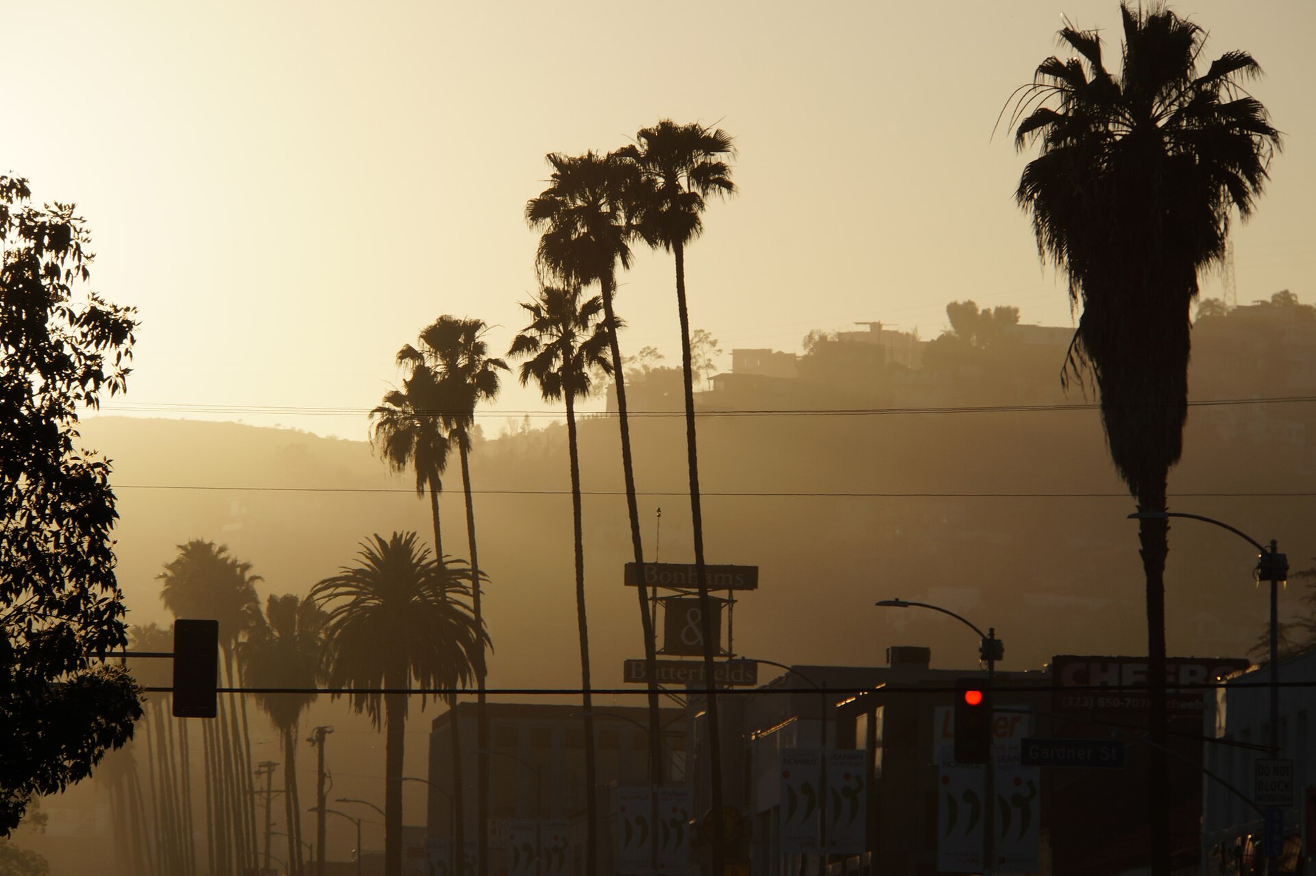 Hollywood street scene