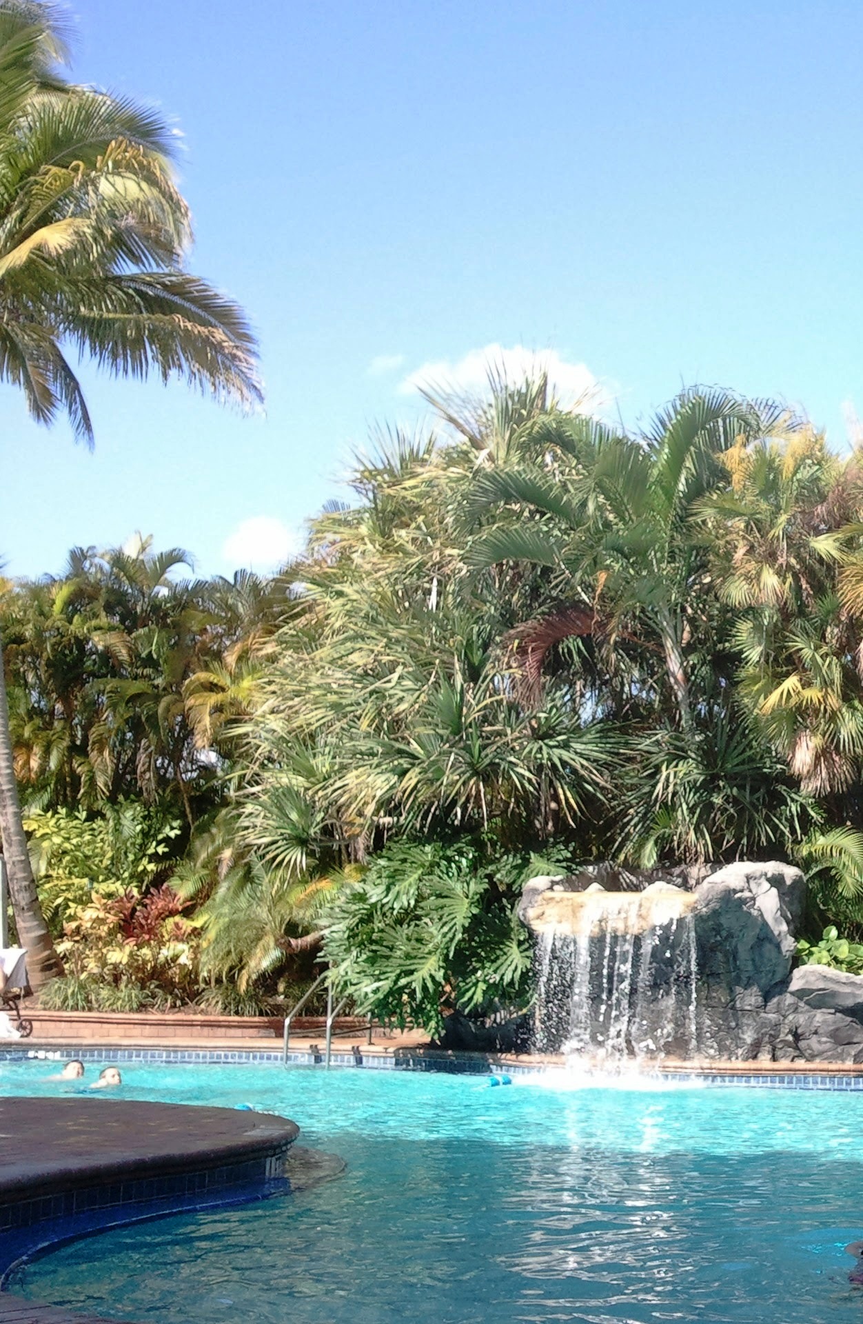 Fort Lauderdale hotel pool ocean